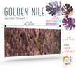 Golden Nile Shimmer Marble Pattern Acrylic Sheet