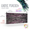 Exotic Peacock Acrylic Sheet