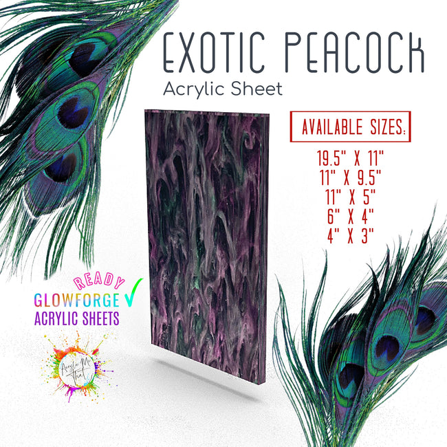 Exotic Peacock Acrylic Sheet